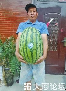 吃瓜网每日大赛 反差大赛51